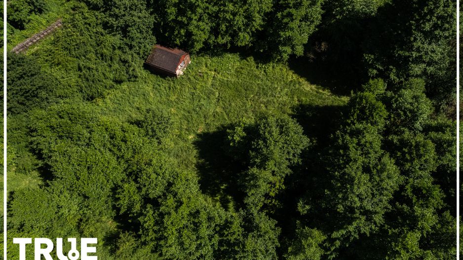 Teren intravilan 2.800 m² în Câmpu Cetății – liniște și natură - Poză 5