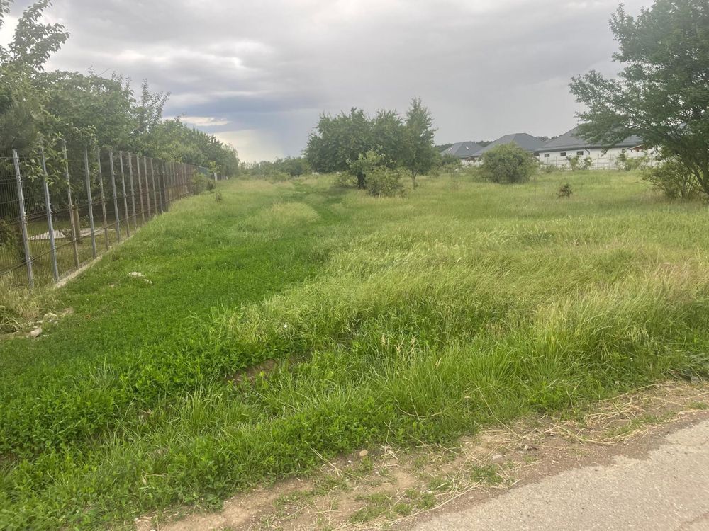 Teren 5.000 mp | Tamași – Corbeanca | Lângă Pădure | Utilități - Poză 1