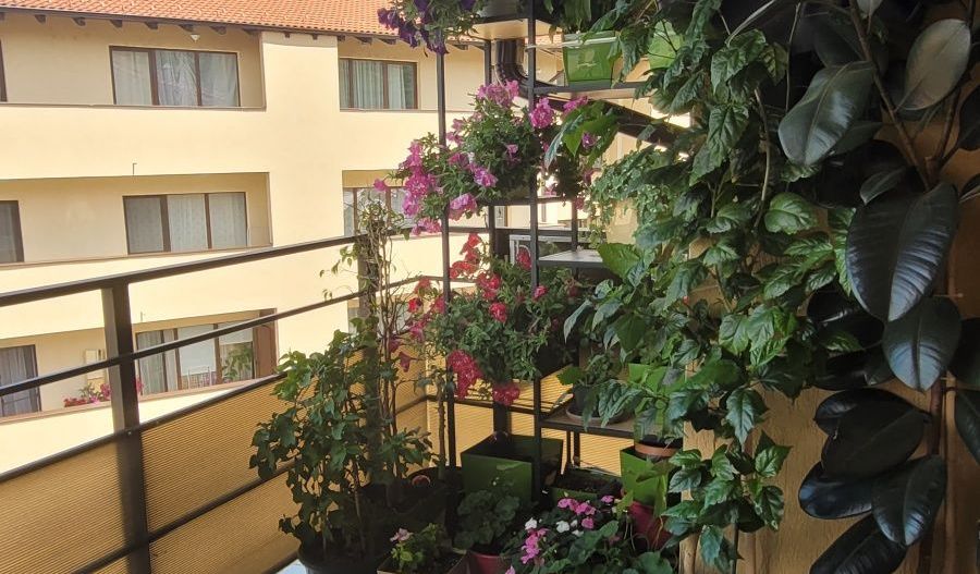 Apartament cu 2 camere | 34 mp + 6 mp balcon | Zona Florilor - Poză 8