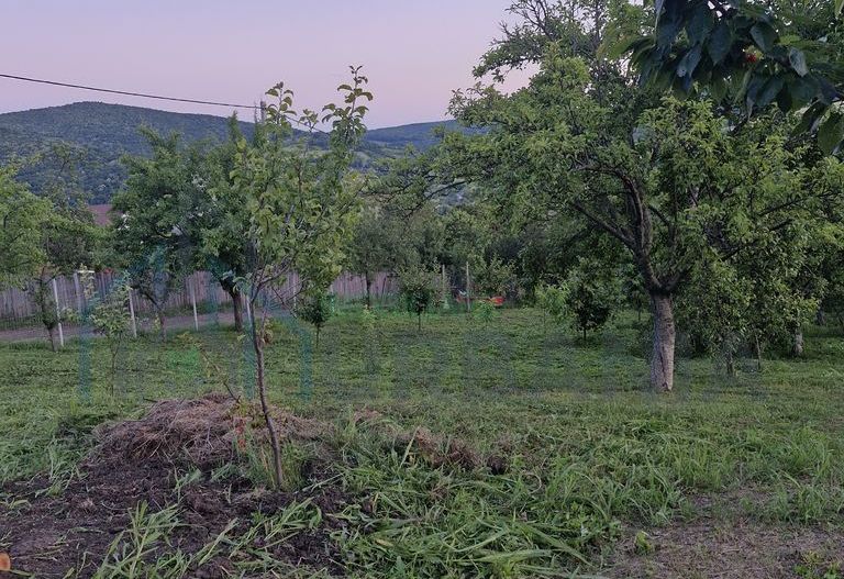 Teren intravilan de vanzare, Chicerea, 740 mp, strada Canarului, Tomesti - Poză 5