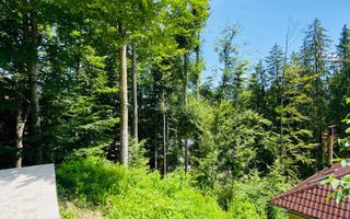 Vila Sinaia - Poză 50