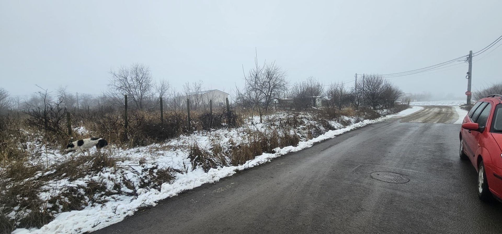 Exclusivitate MAG Invest – Teren 2300 mp Vanatori, ideal investitie - Poză 2