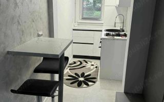 P.F Vand apartament in Plopilor cu doua camere, zona Platinia - Poză 3