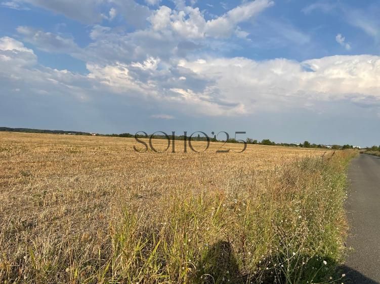 Coreanca  8000 mp intravilan - Poză 5