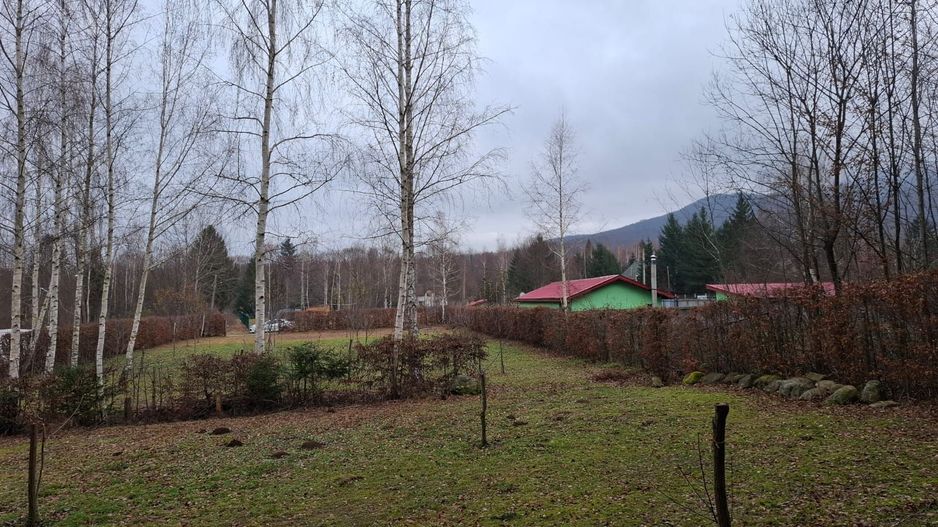 Teren intravilan, livada, langa padure,  pe Valea Avrigului - Sibiu - Poză 5