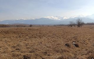 Teren 25.500 mp Valea Avrigului - Poză 3