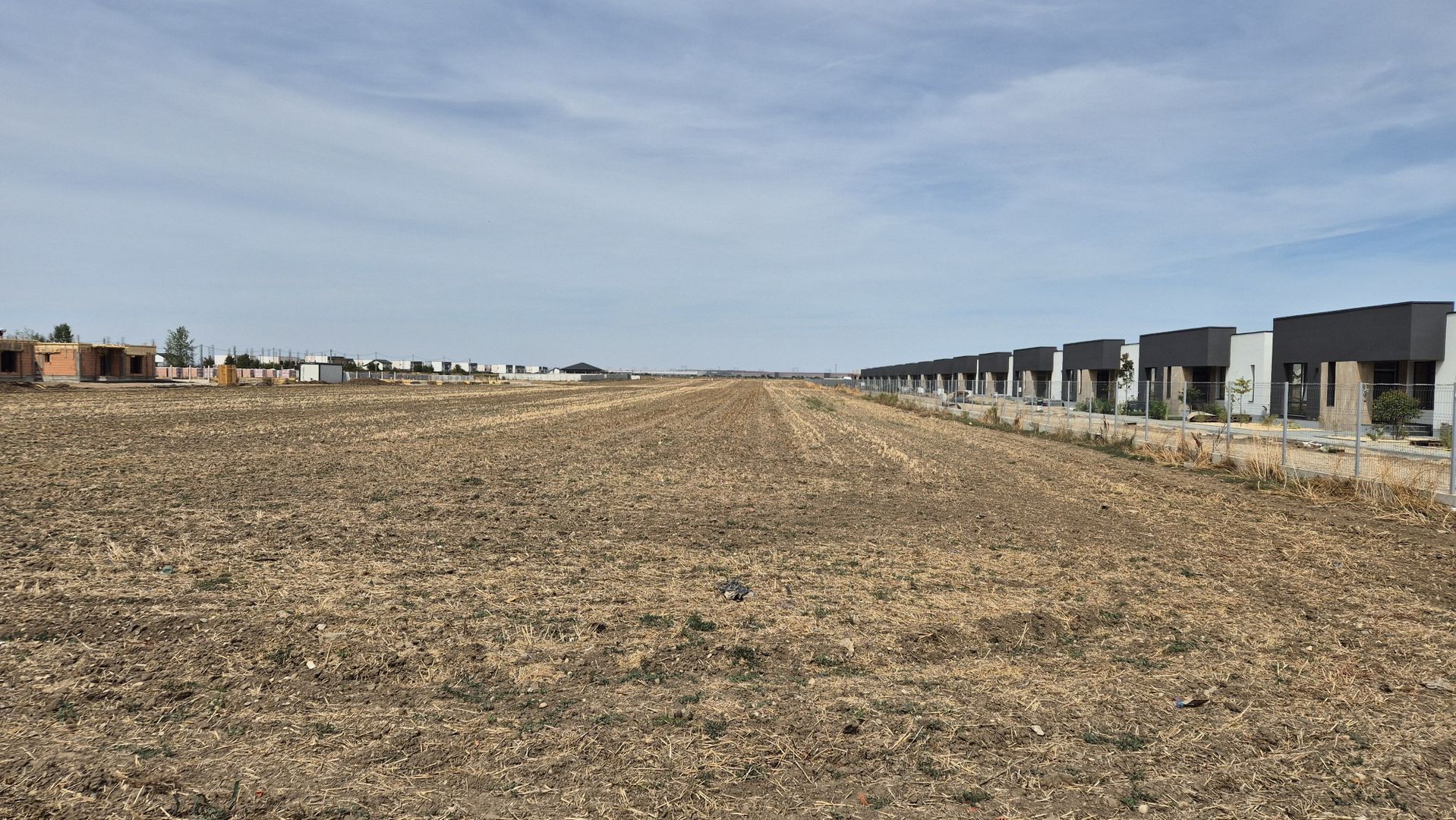 Teren intravilan 16.248 mp - Domnesti - Poză 5