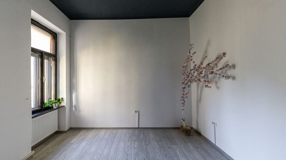 Apartament 196 mp, cu 5 camere, în zona istorică Iosefin - Timisoara - Poză 29