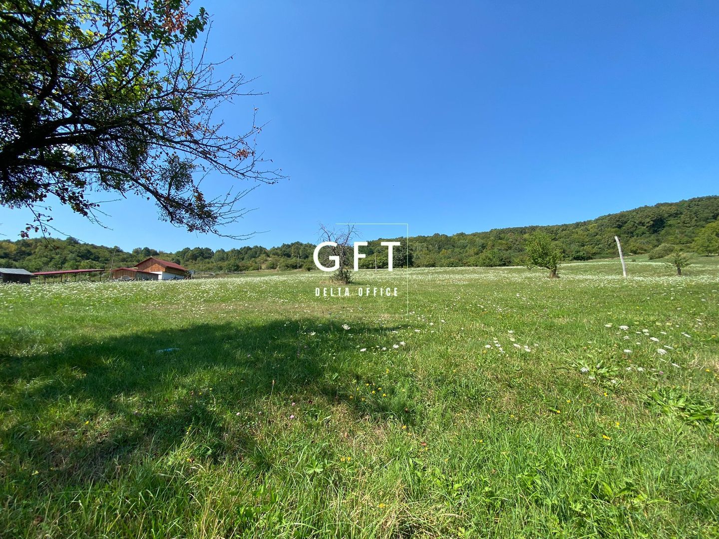 Teren Extravilan 11.000mp-Unirea-Valea Slatinitei - Poză 8