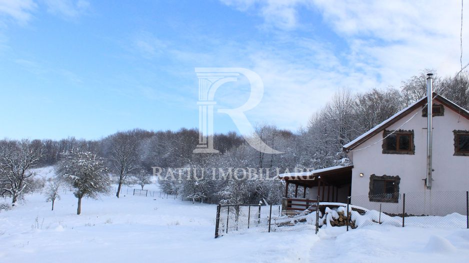 Proprietate rară | 4458 mp teren intravilan | Casă solidă, natură, liniște totală. | Bratca, Bihor. - Poză 47