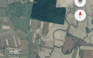 Teren extravilan Bazosul Nou, 500 000 mp - Poză 1