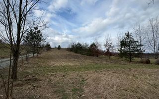 Teren de vânzare | 3423 mp | Copalnic | la drum principal - Poză 1