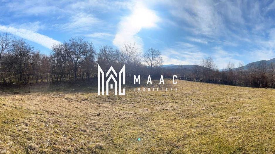 Teren intravilan I 2300mp I Zona Rasinari - Poză 1