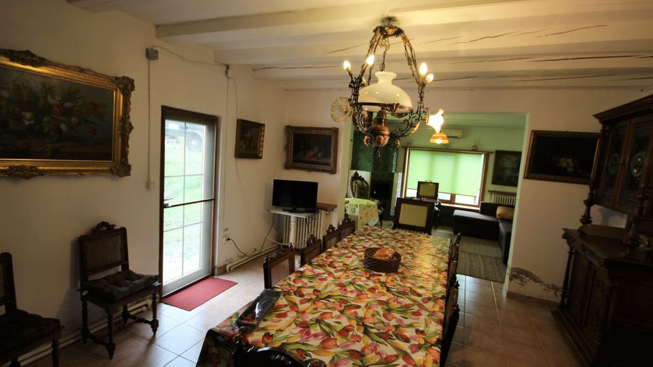 Ferma pomicola cu teren livada 270 ha - Timis - Poză 14