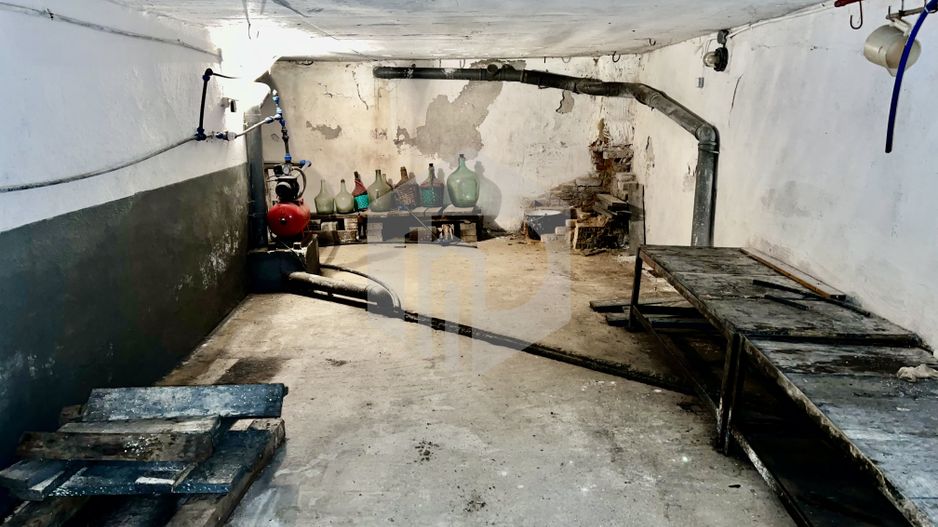 Teren cu livada+ casa de vanzare in Talmacel- 4000 mp - Poză 16