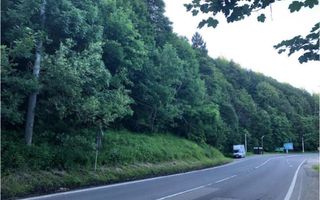 Teren intravilan in Busteni - Poză 4