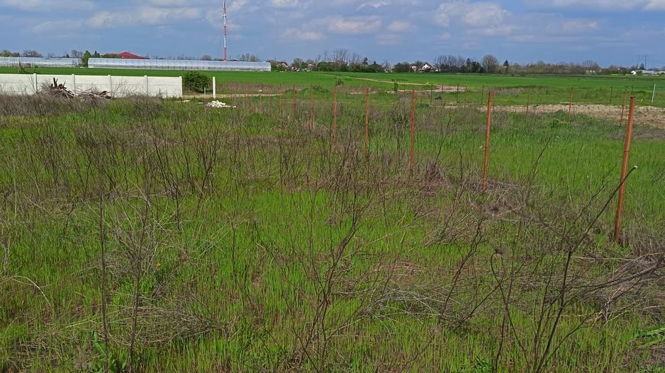 Teren de vânzare – Mihăilești | Oportunitate de investiție - Poză 14