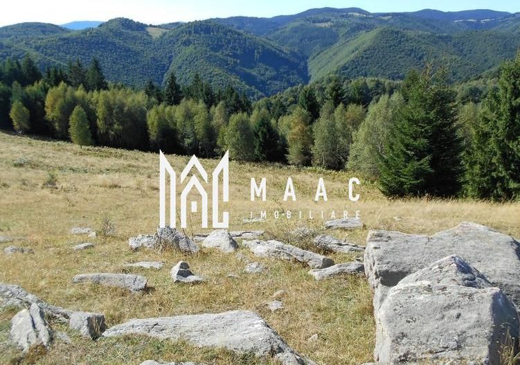 Teren Extravilan | 19.593 MP | Zona Saliste - Poză 3