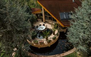 Vila grandioasa, Gradina Japoneza, SPA, Crama, Teren Tenis, Foisor, Iaz Pesti - Poză 10