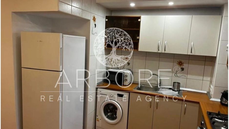 Inchiriere apartament  3 camere b-dul Octavian Goga - Poză 6
