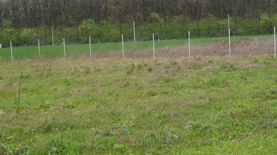 Teren 1500 mp Ghermanesti in proximitatea padurii str Nicopole - Poză 5