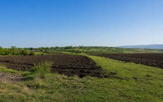Teren 12 ari pentru casa ta lângă natură | gaz + curent | Isacova (Orhei) - Poză 36