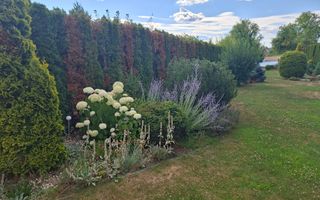 BRASADAS vinde casa cu iesire la lac - Poză 13