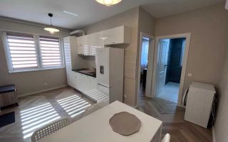 1 camera, Modern, Parcare, Fsega, Iulius Mall, Zona Intre Lacuri - Poză 4