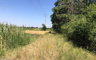 Moara Vlasiei - langa Padurea Biglaru, 11.884 mp, deschidere 40 ml - Poză 10