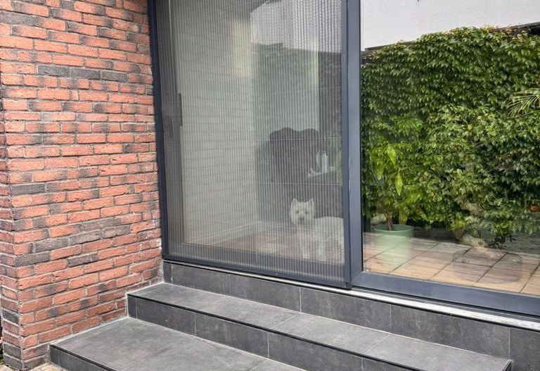 Vilă modernă Aviatiei / Verita School - Poză 9