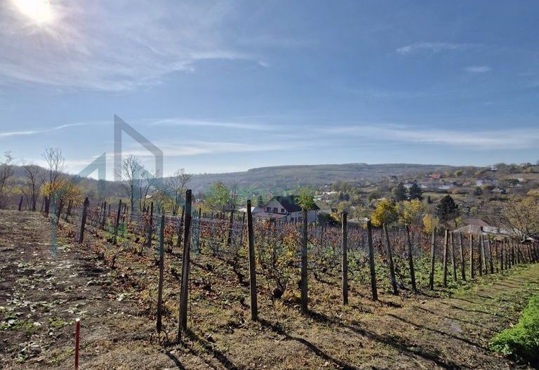 Teren Intravilan 708 mp, Rediu - Acces Privat Exclusiv - Poză 2