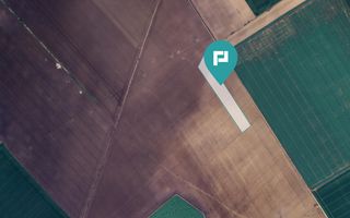 Teren 36.000 mp în Peciu Nou - Poză 1