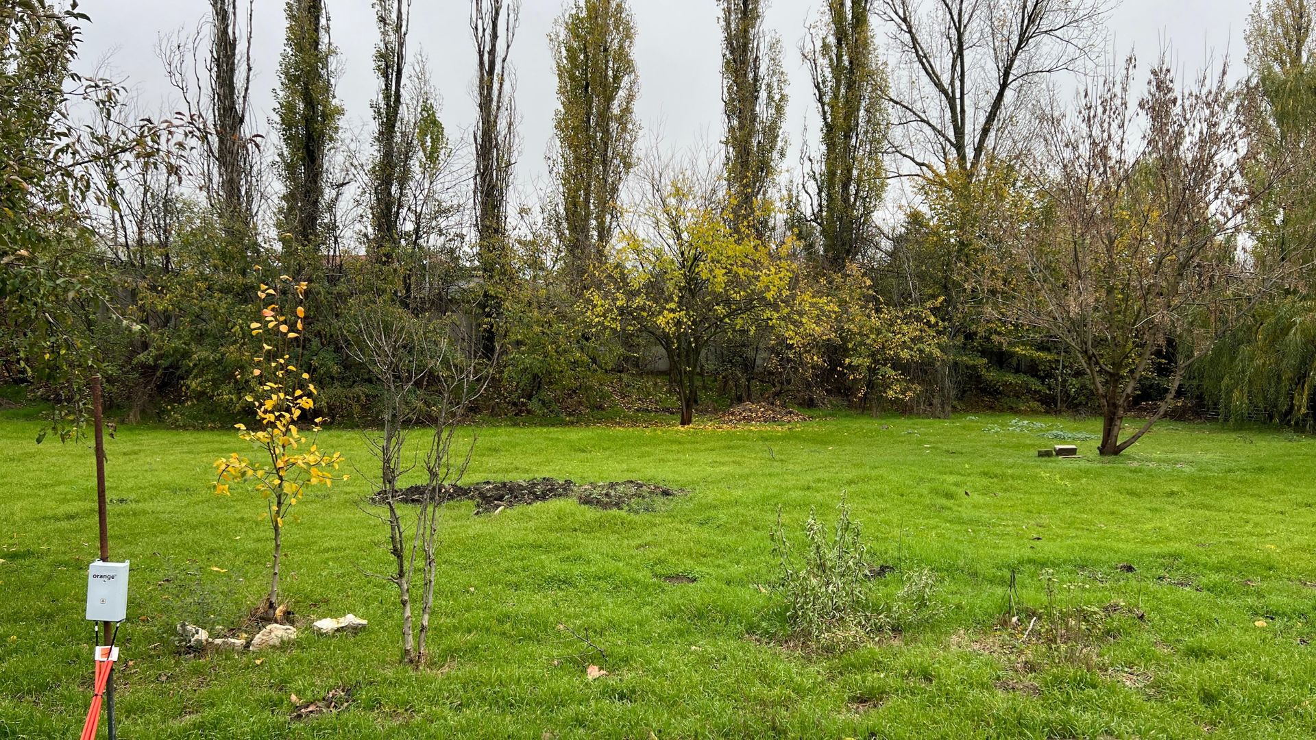 1176 mp | Teren liber | Ideal locuinta | Zona pazita |Pret Promotional - Poză 8