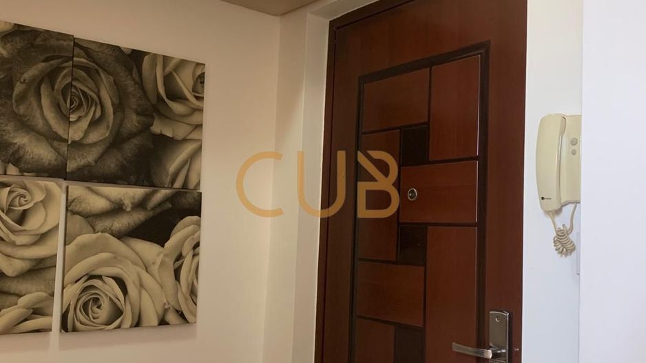 Ap2Cam |Centrala, Clima, Mobilat + Utilat| Sagului-Kiriac - Poză 9