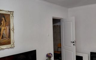 Apartament 2 camere decomandat, etaj 1, 54 mp, zona Sos Nicolina, Iasi - Poză 7