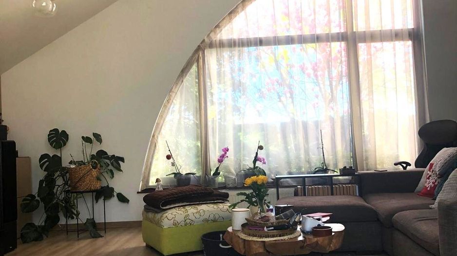 Vila 4 camere 220 mpu - 400 mp teren - Pipera / V Alecsandri - Poză 8