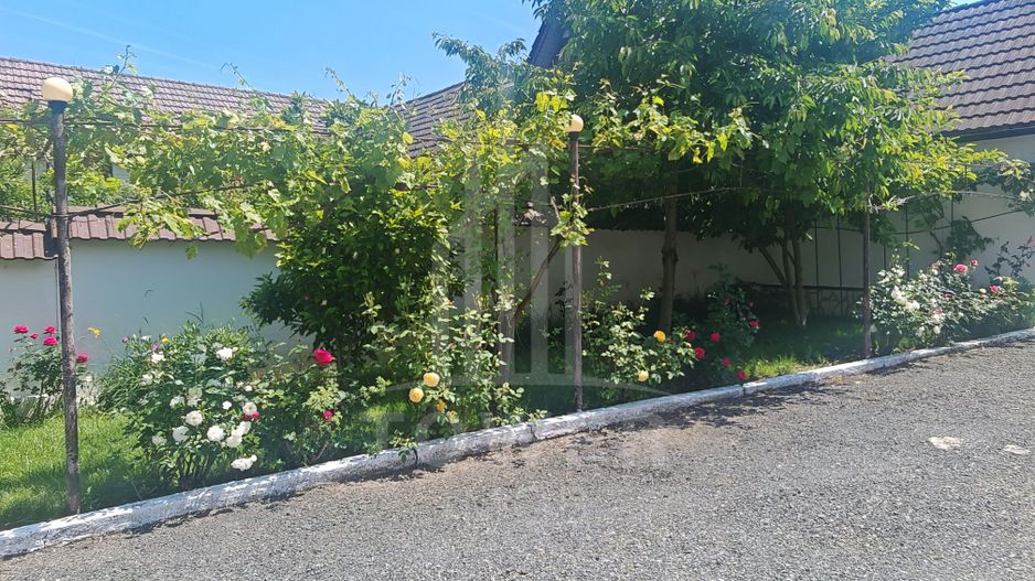 Casă săsească cu 4 camere în Turnișor – teren 518 - Poză 4