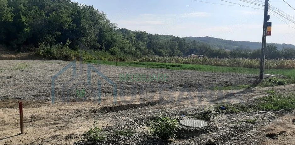 Teren intravilan 1400 mp cu deschidere la E85, Cristești, jud. Iași - Poză 3