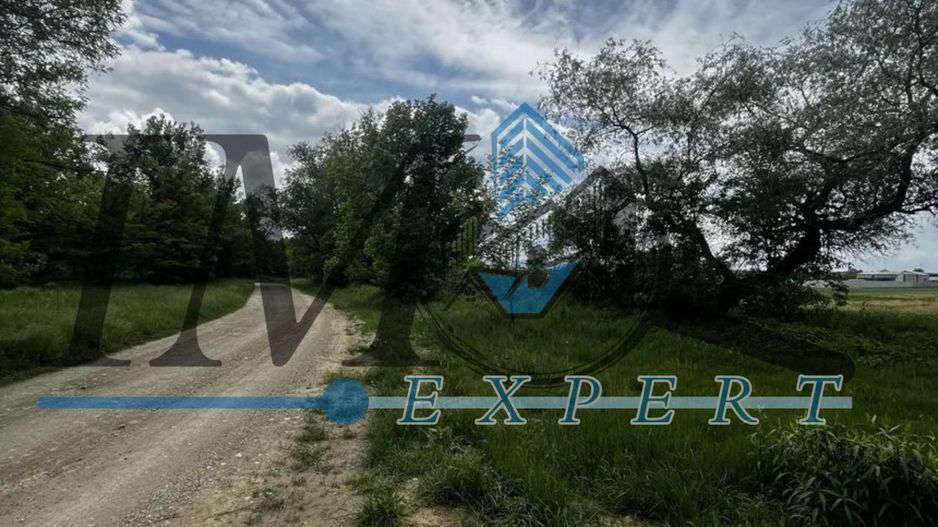 Teren de vânzare in Lancram lângă pădure - Poză 1