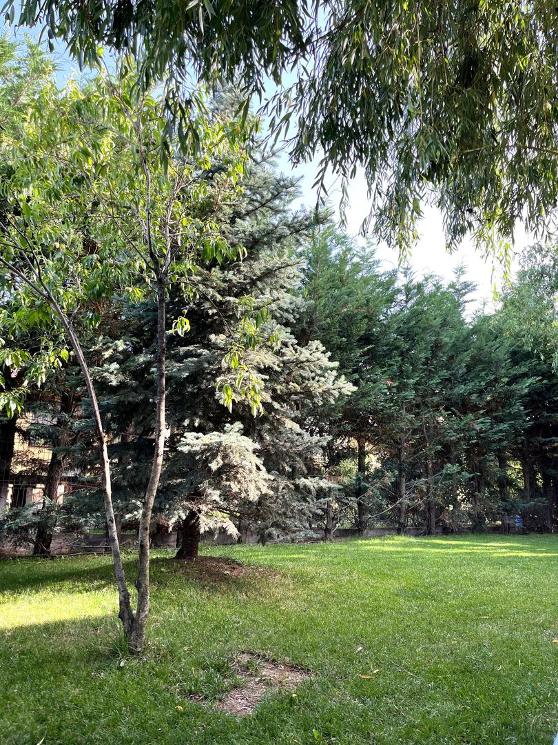 De Vanzare Casa  cu 4 camere  zona Tunari - Poză 19