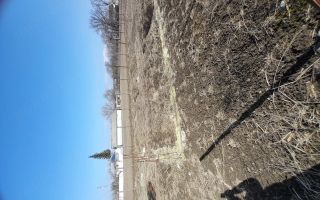 Loc de casă în Prisecani, comuna Popricani - Poză 5