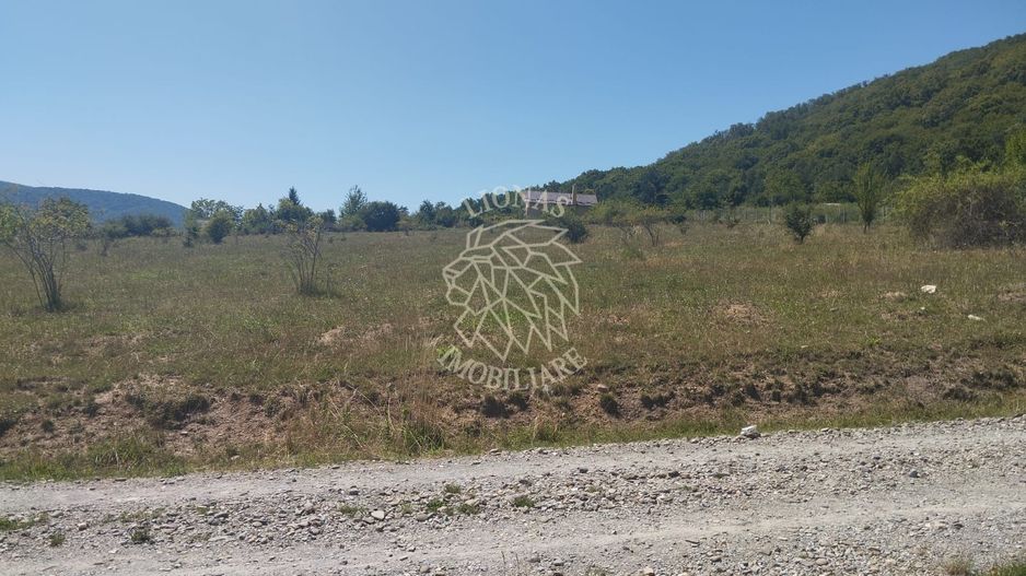 Teren intravilan 2900 mp cu utilitati-Zona MOL Viisoara - Poză 2