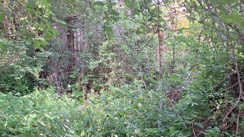 Casă cu 3 camere și teren generos, în Andrei Mureșanu - Poză 10