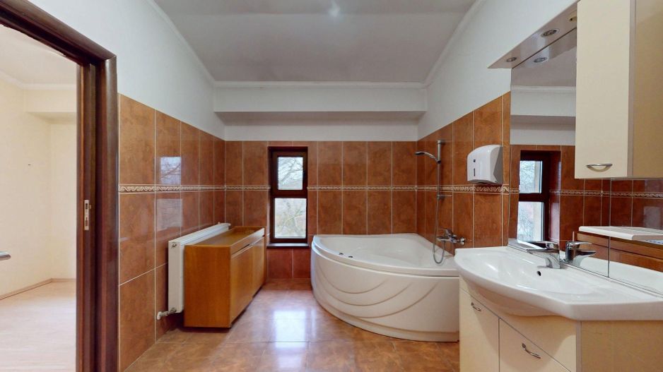 SNAGOV - Ciofliceni | Casa - Poză 28