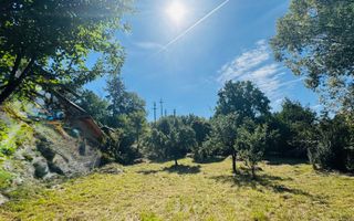 TEREN INTRAVILAN 3234 MP LEREȘTI VOINEȘTI ARGEȘ - Poză 4