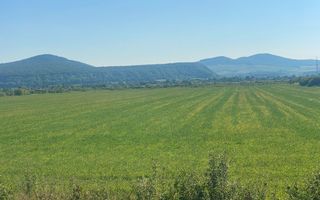 Teren 13400mp la DN 17-parcelabil Podirei - Poză 5