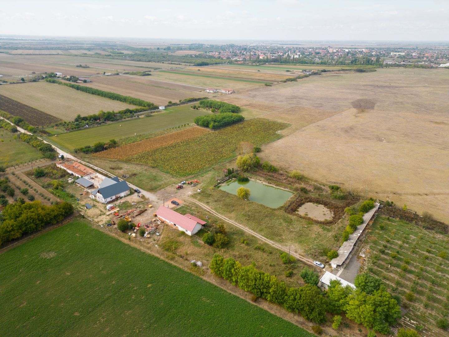 Teren intravilan cu iazuri și casă - Chișineu-Criș - Poză 17