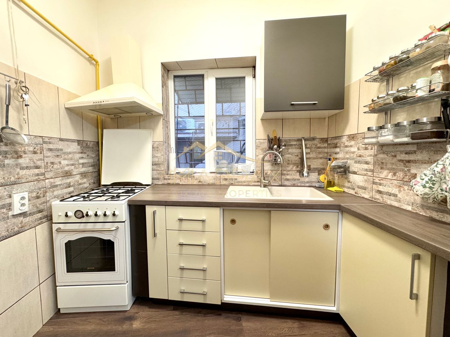 Apartament cu 2 camere in Vila *Parter* // Parcul Carol - Poză 15