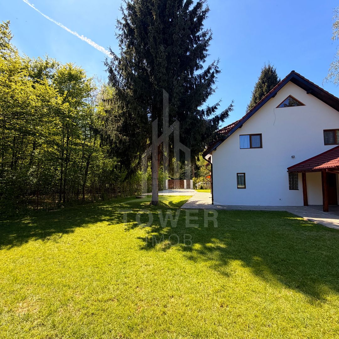 Casă de vacanță noua-Valea Avrigului - Poză 3