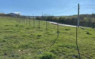 Vând 2 parcele goruni loturi 21,22! - Poză 2